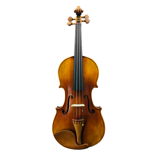 VIF BV900 小提琴