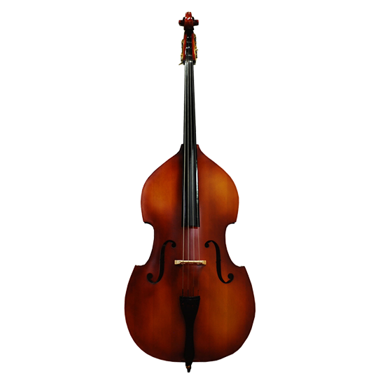 VIF BB100 低音大提琴